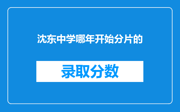 沈东中学哪年开始分片的