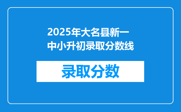 2025年大名县新一中小升初录取分数线