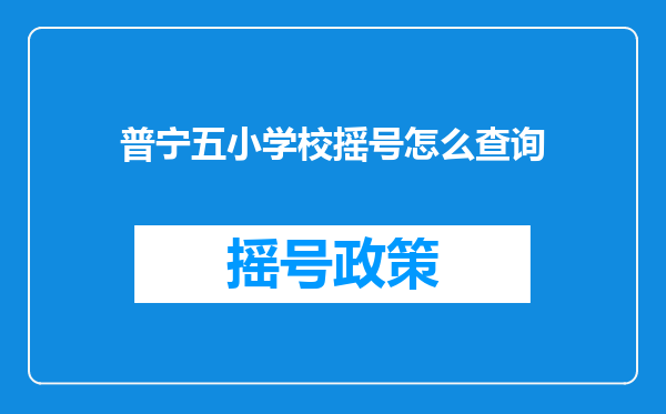 普宁五小学校摇号怎么查询