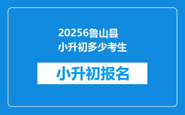 20256鲁山县小升初多少考生