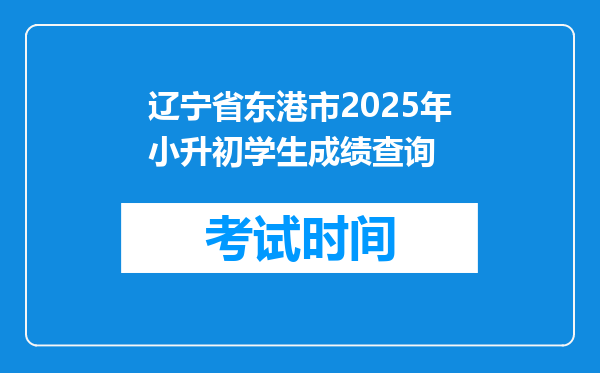 辽宁省东港市2025年小升初学生成绩查询