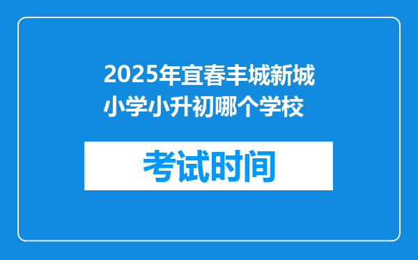 2025年宜春丰城新城小学小升初哪个学校