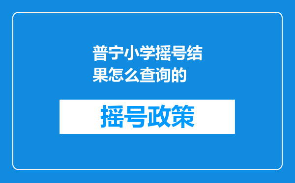 普宁小学摇号结果怎么查询的