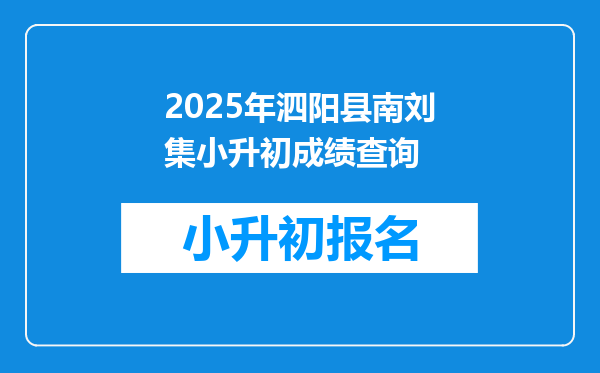 2025年泗阳县南刘集小升初成绩查询