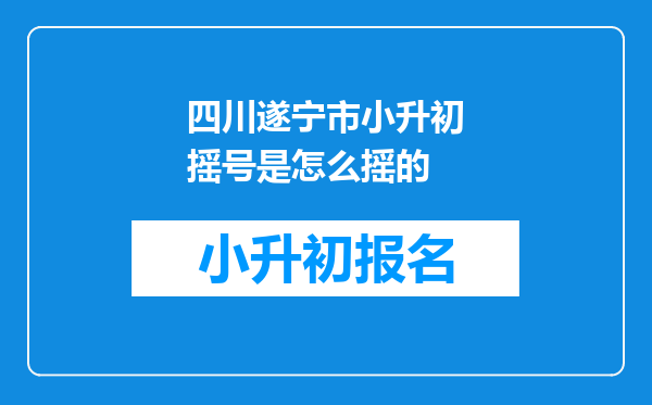 四川遂宁市小升初摇号是怎么摇的