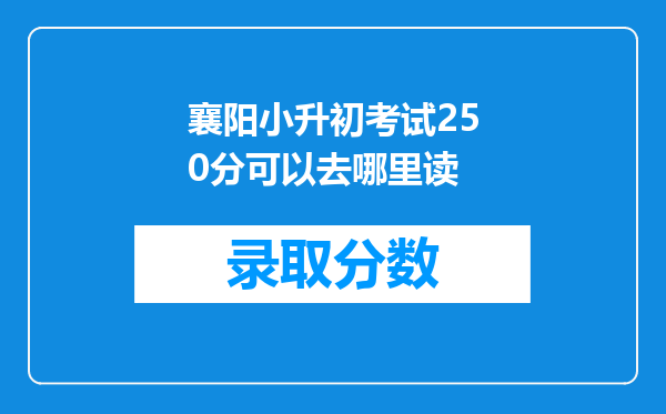 襄阳小升初考试250分可以去哪里读