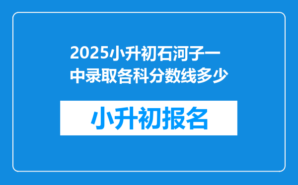 2025小升初石河子一中录取各科分数线多少