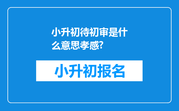 小升初待初审是什么意思孝感?