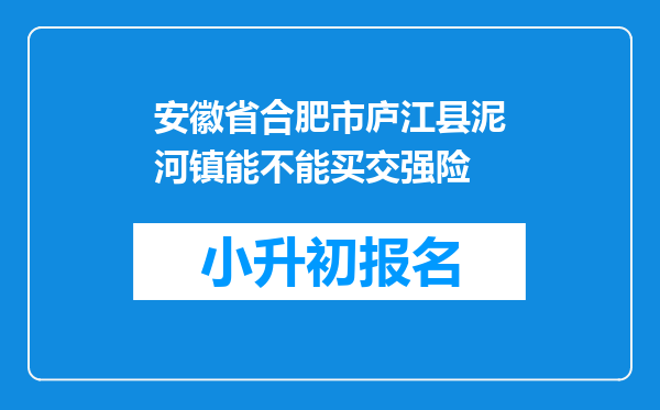 安徽省合肥市庐江县泥河镇能不能买交强险