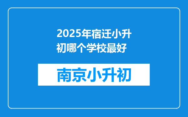 2025年宿迁小升初哪个学校最好