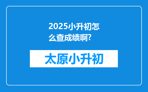 2025小升初怎么查成绩啊?