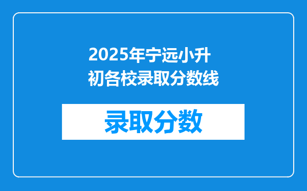 2025年宁远小升初各校录取分数线