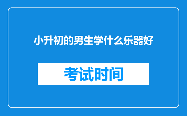 小升初的男生学什么乐器好