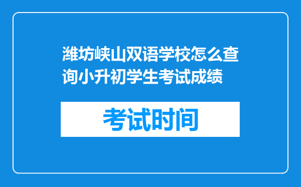 潍坊峡山双语学校怎么查询小升初学生考试成绩