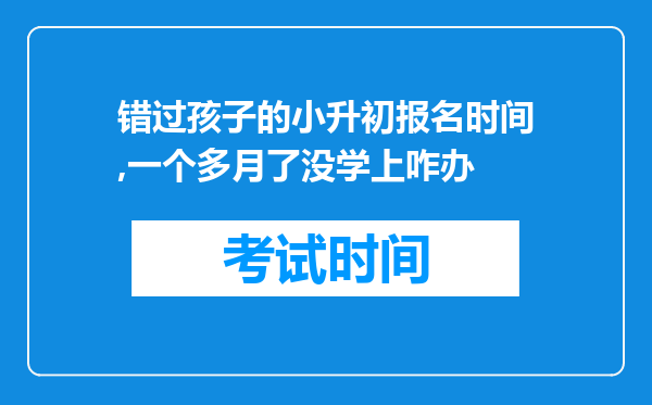 错过孩子的小升初报名时间,一个多月了没学上咋办