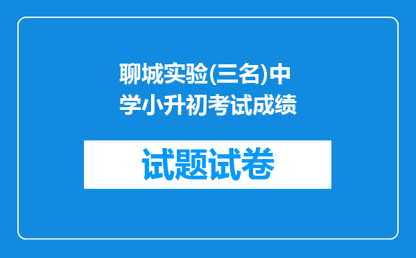 聊城实验(三名)中学小升初考试成绩