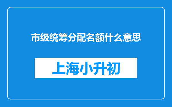 市级统筹分配名额什么意思