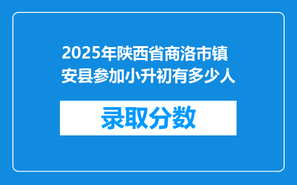 2025年陕西省商洛市镇安县参加小升初有多少人