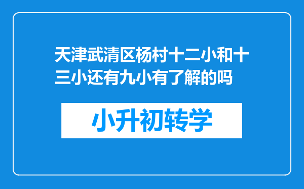 天津武清区杨村十二小和十三小还有九小有了解的吗