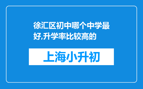 徐汇区初中哪个中学最好,升学率比较高的