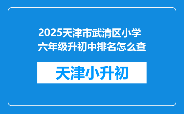 2025天津市武清区小学六年级升初中排名怎么查