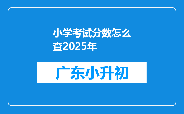 小学考试分数怎么查2025年