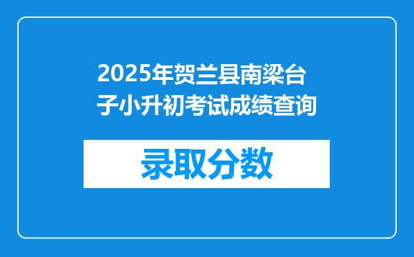 2025年贺兰县南梁台子小升初考试成绩查询