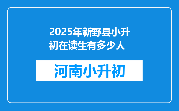 2025年新野县小升初在读生有多少人