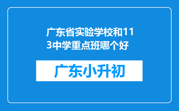 广东省实验学校和113中学重点班哪个好