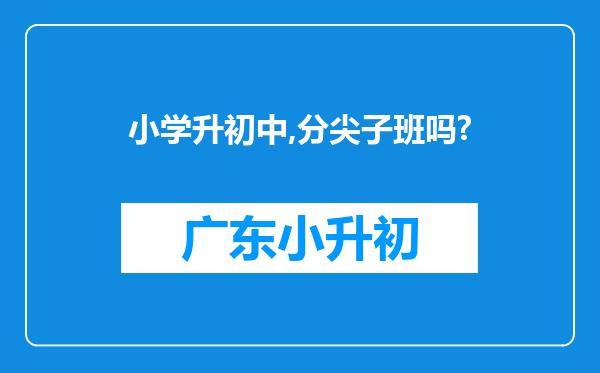 小学升初中,分尖子班吗?