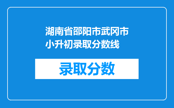 湖南省邵阳市武冈市小升初录取分数线