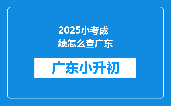 2025小考成绩怎么查广东