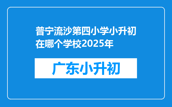 普宁流沙第四小学小升初在哪个学校2025年