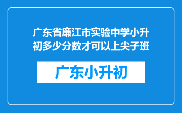 广东省廉江市实验中学小升初多少分数才可以上尖子班