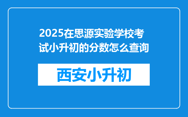 2025在思源实验学校考试小升初的分数怎么查询