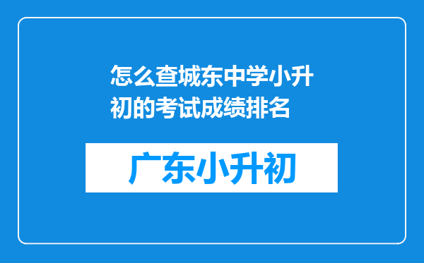 怎么查城东中学小升初的考试成绩排名