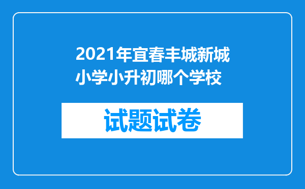 2021年宜春丰城新城小学小升初哪个学校