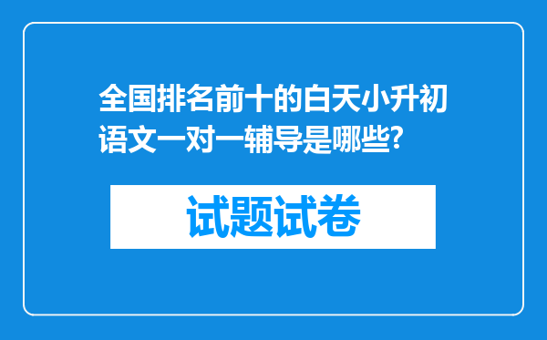 全国排名前十的白天小升初语文一对一辅导是哪些?