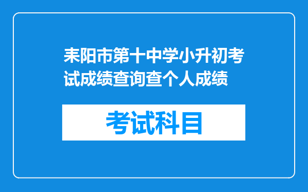 耒阳市第十中学小升初考试成绩查询查个人成绩