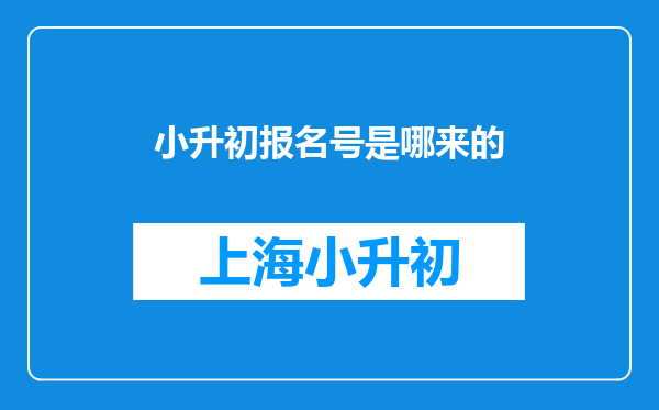 小升初报名号是哪来的