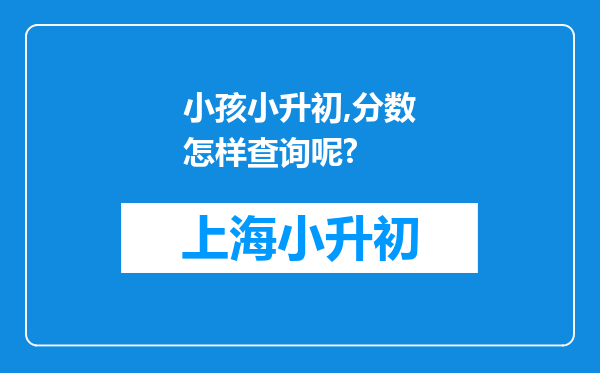 小孩小升初,分数怎样查询呢?