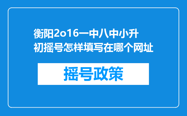 衡阳2o16一中八中小升初摇号怎样填写在哪个网址