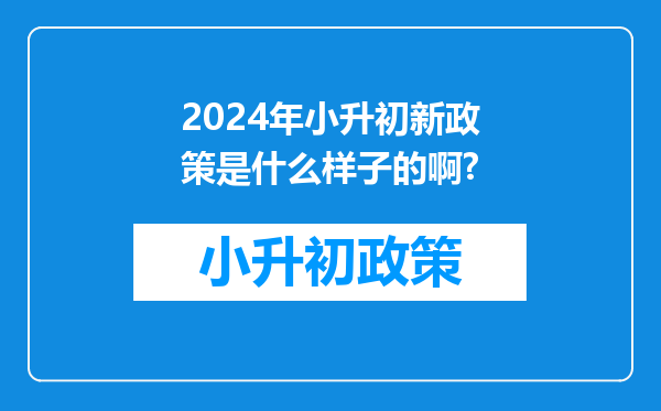 2024年小升初新政策是什么样子的啊?