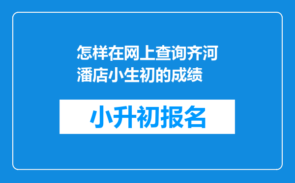 怎样在网上查询齐河潘店小生初的成绩