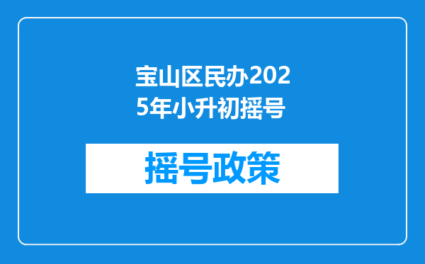 宝山区民办2025年小升初摇号