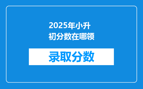 2025年小升初分数在哪领