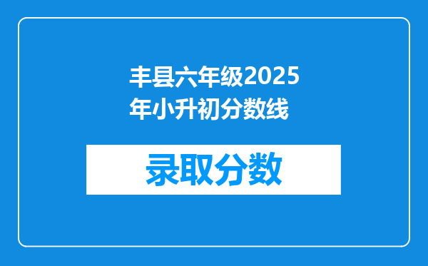 丰县六年级2025年小升初分数线