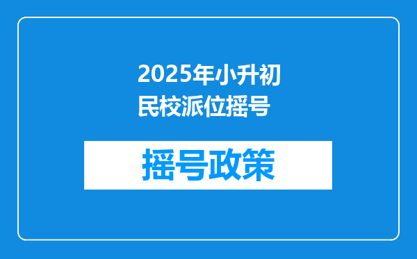 2025年小升初民校派位摇号