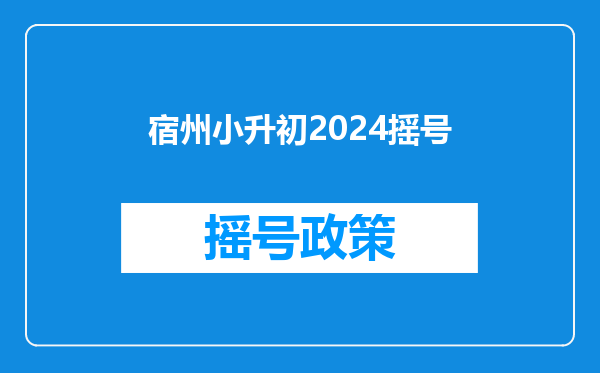 宿州小升初2024摇号