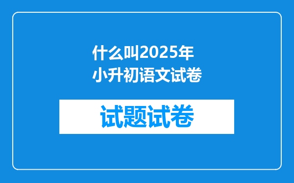 什么叫2025年小升初语文试卷